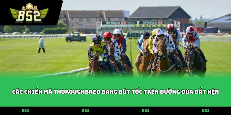 Các chiến mã Thoroughbred đang bứt tốc trên đường đua đất nện