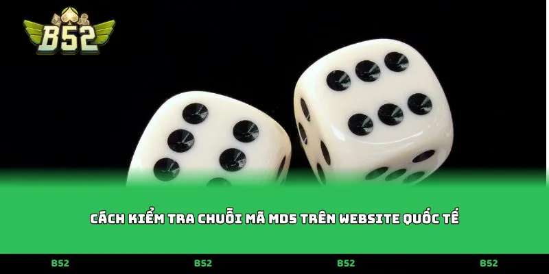 Cách kiểm tra chuỗi mã MD5 trên website quốc tế
