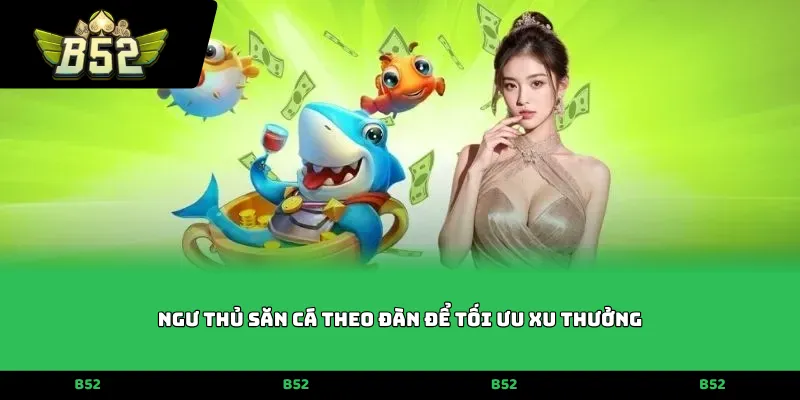 Ngư thủ săn cá theo đàn để tối ưu xu thưởng