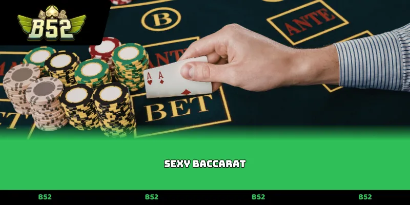 Sexy baccarat